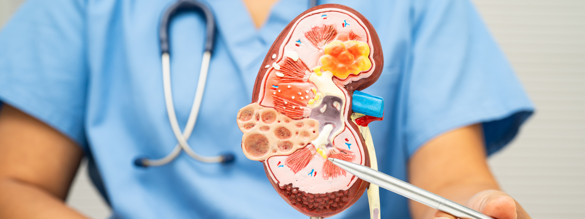 Nephrology Billing Services
